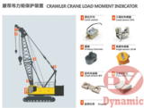 crawler crane load moment indicator